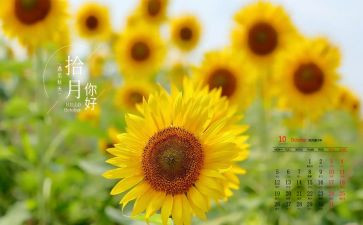 10月一心得体会5篇