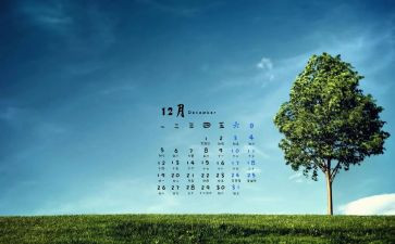 2024年12月个人总结5篇