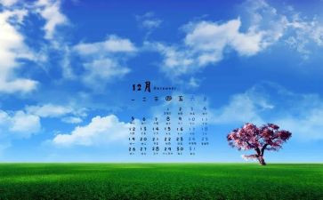 12月小班幼儿园工作总结7篇