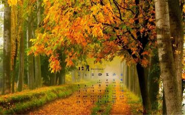 幼儿12月份工作总结5篇
