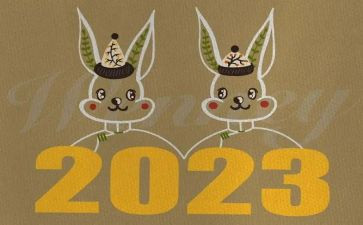 观感动中国2023观后感精选6篇