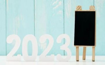 2023警衔培训心得体会7篇