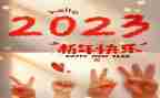 2023年化工企业年终总结8篇