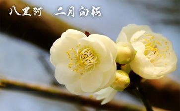 2月份工作计划5篇