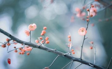 2月份班主任工作总结5篇