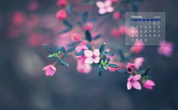 2月工作计划7篇