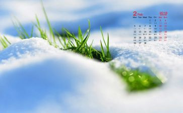 2月份幼儿园工作总结通用8篇