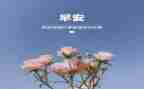 团3月的工作计划7篇