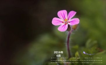 学生会4月份工作总结8篇