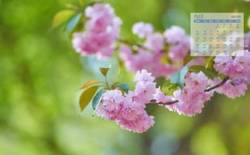 4月的工作总结最新5篇
