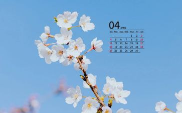 4月的工作总结参考5篇