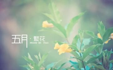 5月工作心得7篇