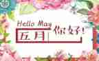 5月份的工作总结8篇