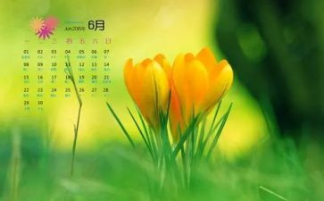 幼儿园大大班6月份工作计划7篇