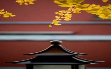 教师8月工作总结7篇