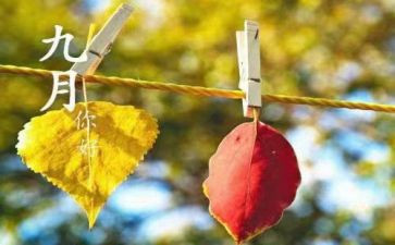 幼儿园9月工作总结6篇