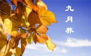 文员9月度工作总结通用5篇