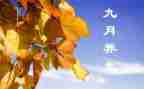 幼儿园教师9月工作总结6篇