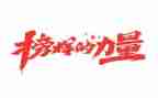榜样5,心得体会模板5篇
