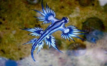 七上生物工作总结模板5篇