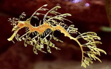 生物教师月工作计划5篇