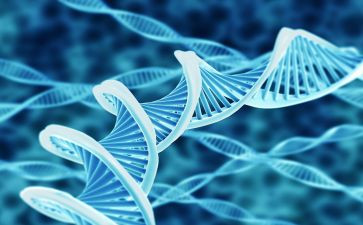 生物教师月工作计划模板5篇