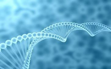 高二上生物备课组工作总结5篇