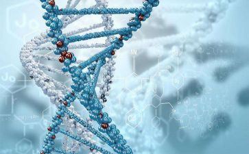 生物角作文优秀6篇