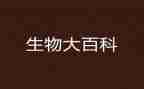 学生物的心得体会模板7篇