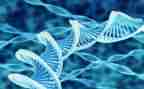生物教师月工作计划模板5篇