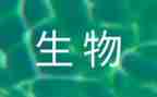 高中生物教学工作总结反思5篇
