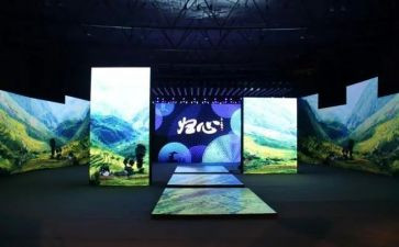 师德先进报告会心得体会5篇