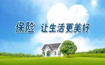 保险公司半年度述职报告5篇