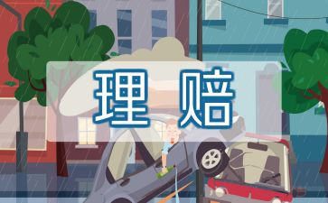 保险员个人年度总结范文5篇