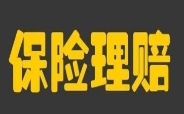 保险公司年终工作总结优秀8篇