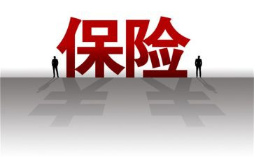 保险公司个人总结总结总结最新8篇