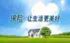 投保险的工作计划6篇