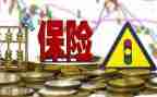 保险公司年终个人总结通用6篇