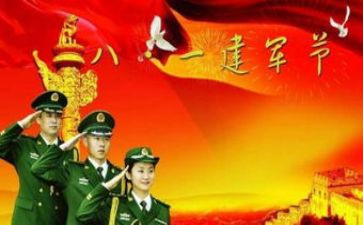 县八一系列活动方案6篇
