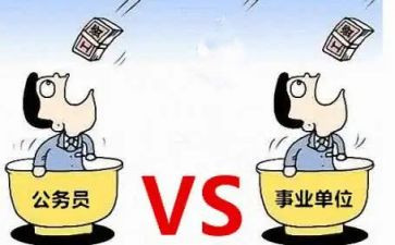 编制个人总结8篇