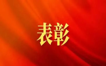 表彰教师活动总结5篇