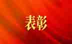 表彰教师活动总结5篇