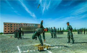小学教学比武活动方案6篇