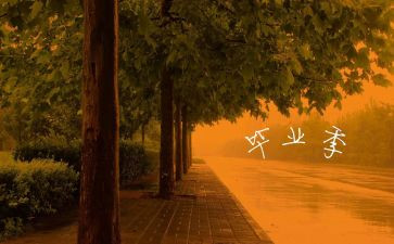 毕业调查报告模板8篇