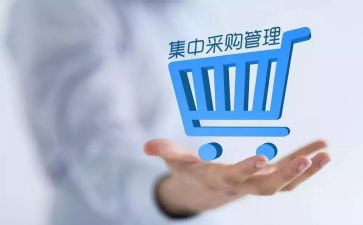 工作采购工作总结范文5篇