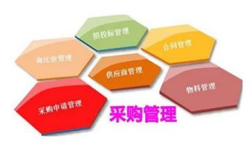 采购的个人总结范文优质5篇