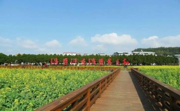 才溪调查心得体会模板8篇