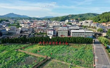 才溪调查心得体会7篇