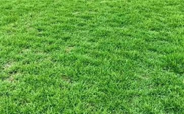 读后感草房子作文优质8篇