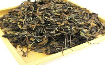 茶的文化作文模板5篇